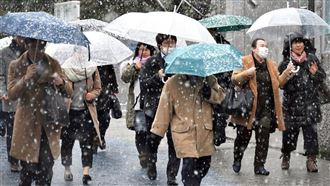 旅日注意！這處遇雪形同災害 作家:有殺氣