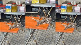 兔年,善化牛墟,鹽水牛墟,北港牛墟