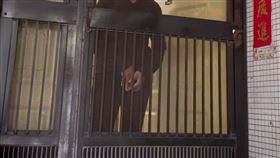 員警遭撞,死亡,毒蟲,彰化分局,高雄人,團圓夢