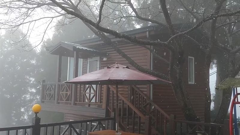 桃園拉拉山下雪了！「雪白美景」曝光