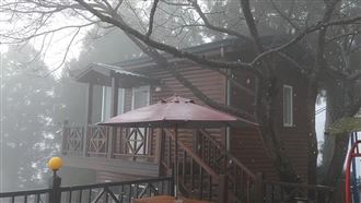 桃園拉拉山下雪了！「雪白美景」曝光