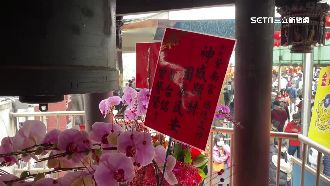 郭台銘贈紫南宮蘭花　廟方曝背後原因