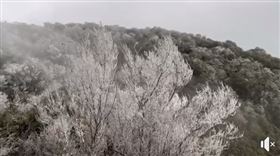 冷到連新竹也下雪了！銀白細雪紛飛影片曝（圖／翻攝自綠木頭臉書粉專）