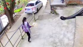 女兒回家過年。（圖／翻攝自掌聞視訊）