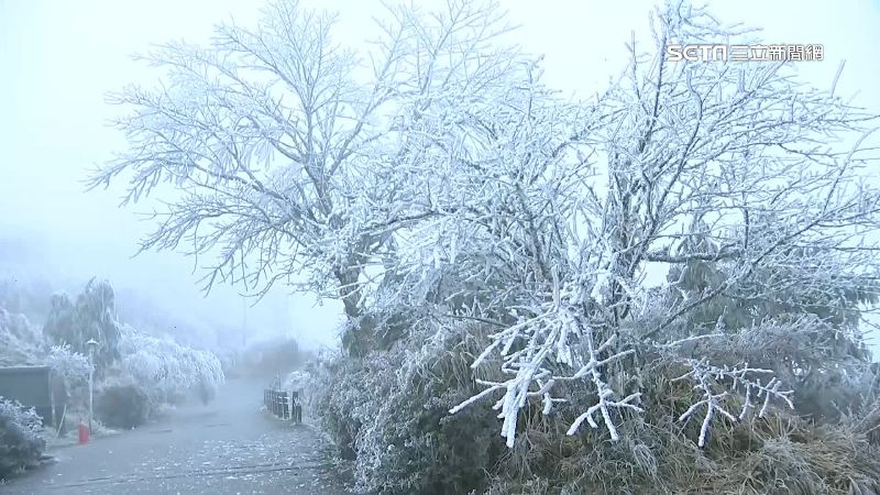 好天氣掰掰！初六寒流探7度　冷到上班日