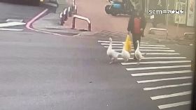 r年菜逛大街2400