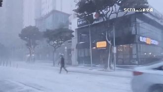 濟州島班機因大雪全取消　4萬旅客受影響