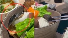 火鍋,菜盤,蛞蝓,腦膜炎,疾管署,過年,春節(翻攝自 Dcard)