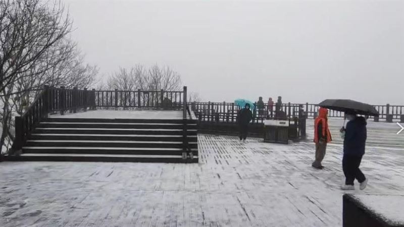 寒流－4℃下冰霰　太平山再現雪白美景
