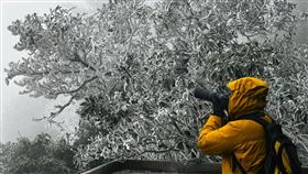 尖石宇老部落深夜飄雪  清晨現銀白霧淞美景新竹縣尖石鄉宇老部落27日晚間陸續飄雪，28日清晨樹木上都結了霧淞，白靄靄的景色相當夢幻、美麗。（綠木頭景觀餐廳提供）中央社記者魯鋼駿傳真  112年1月28日