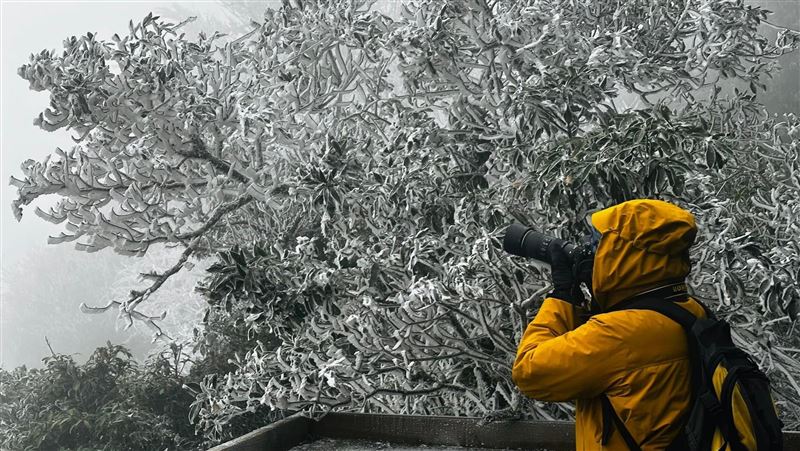 尖石宇老部落夜飄雪　清晨現銀白霧淞美景
