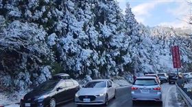 武陵農場(翻攝畫面)