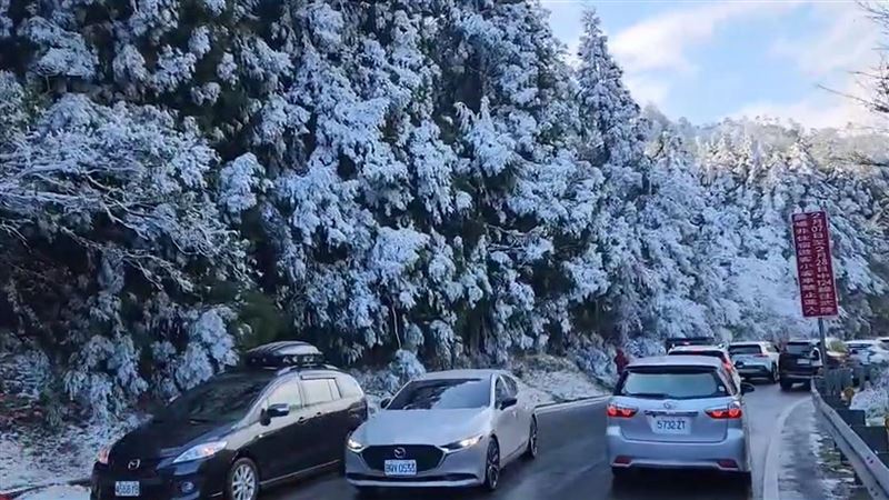 武陵農場下雪了　民眾驚嘆：一片銀白世界