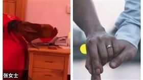 洞房裡出現活雞（圖／翻攝自白鹿視頻）