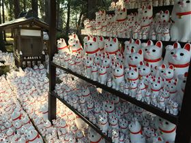 ▲日本東京世田谷區的豪德寺內有超過上千隻，替人們實現願望的招財貓，萌萌指數爆表。（圖／記者楊佩琪攝）