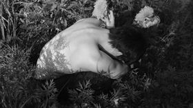 「雞、狗、豬」這組生肖，需要多注意。（示意圖／翻攝自pexels）