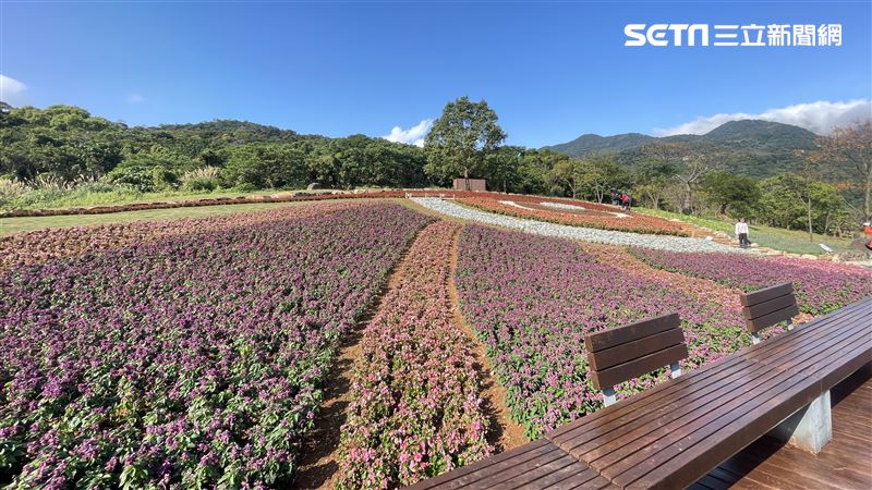收假最後一天！「台版富良野」近郊好去處