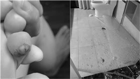 （圖／翻攝自爆料公社）