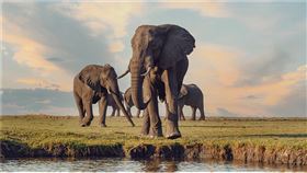 草根影響力新視野