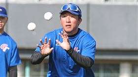 ▲經典賽台灣隊練球，野手成晉。（圖／中華職棒提供）