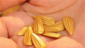 ▲甄嬛傳相關。（圖／翻攝自百度百科）