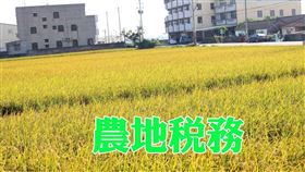 取得不課徵土地增值稅的農地後違規使用，務必在限期內恢復農用，再移轉時才可申請不課徵土地增值稅（圖／資料照）