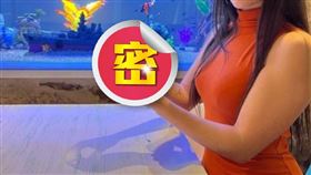 吃海鮮驚「硬硬的」！22歲正妹吐出一看嗨翻…現賺13萬元（圖／翻攝自natyfrelu IG）