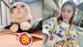 林真亦躺床逗貓，讓她低胸深溝「超邪惡視角」全現形。（圖／翻攝自林真亦IG）