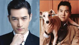 胡歌,彭于晏,造人,煎魚