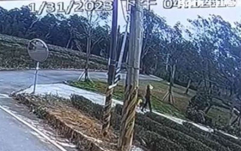 最後身影曝！苗栗婦人遛狗失蹤陳屍池塘