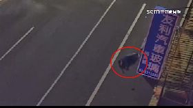 a路倒無人問2400.