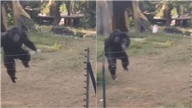 （圖／翻攝自中國傻事）