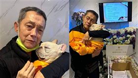 「國寶藝人」鄭平君養10年8個月的法鬥犬上月10日病逝。（圖／鄭平君提供）