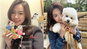 陳紫渝宣布，永福里辦公室將送兔年提燈。（圖／翻攝自陳紫渝 臉書）