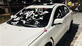 台南,械鬥,紙糊,債務,談判,情侶,噁心,攻擊