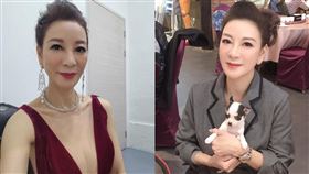 （圖／翻攝自楊繡惠臉書）