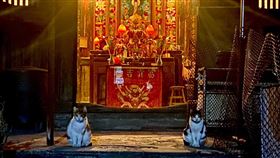 網友分享家中神明廳前的「左右護法」。（圖／翻攝自爆廢公社）