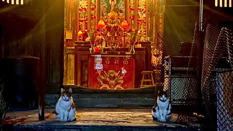 神明廳「小門神」坐鎮　網嗨：留下罐罐來