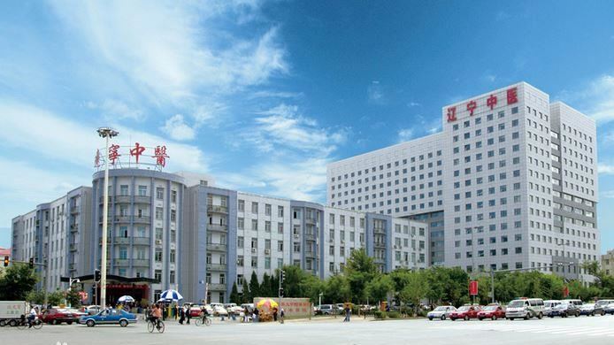 陸名醫看診遭兇手「行刑槍決」　左眼貫穿