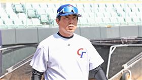 ▲經典賽台灣隊總教練林岳平。（圖／中華職棒大聯盟提供）