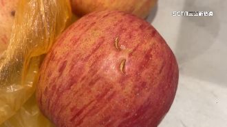 女指甲狂戳11顆高檔蘋果　老闆慘賠1500元