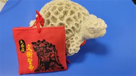 ▲大赤崁文衡聖帝殿的蚵殼咾咕石龜和小神衣。（圖／寶島神很大）