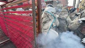 鹽水蜂炮,台南市,開炸,活動期程,交通動線