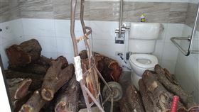 無障礙廁所,龍柏,珍貴,稀有,南投,價值