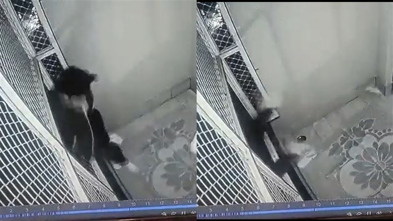醫學院考生靠旅館圍欄…突從6樓摔出慘死