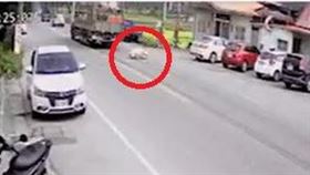 單價,飼主,肉豬,豬隻,花蓮,台東,玉里分局東里派出所,台9線（圖／翻攝畫面）