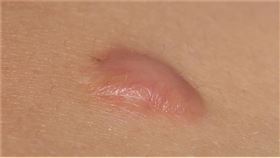 草根影響力新視野