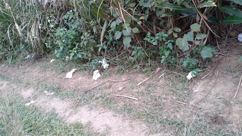 虎頭山滿地衛生紙　她轟女性山客網傻眼