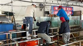 基隆,漁會,八斗子,漁港,漁市,消費糾紛,謝國樑