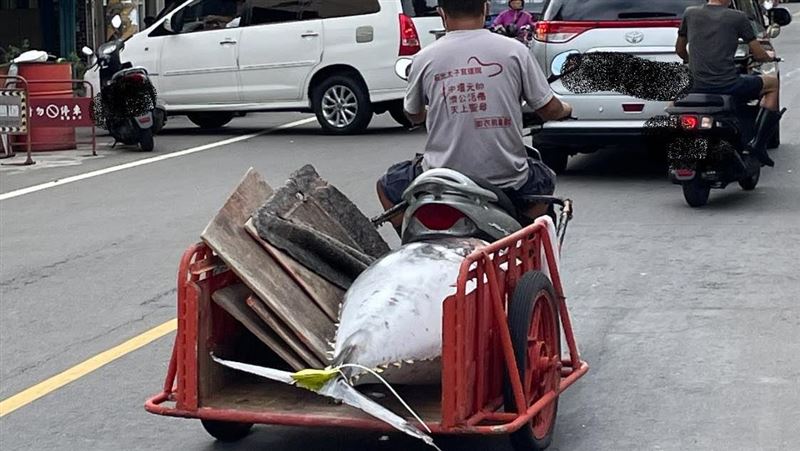 屏東馬路驚見超大尾海鮮！網愣：百萬名車